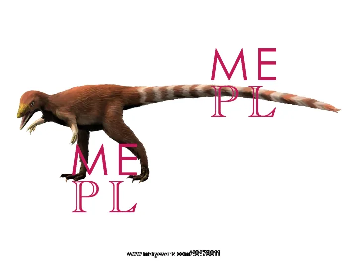  : Sinosauropteryx dinosaur