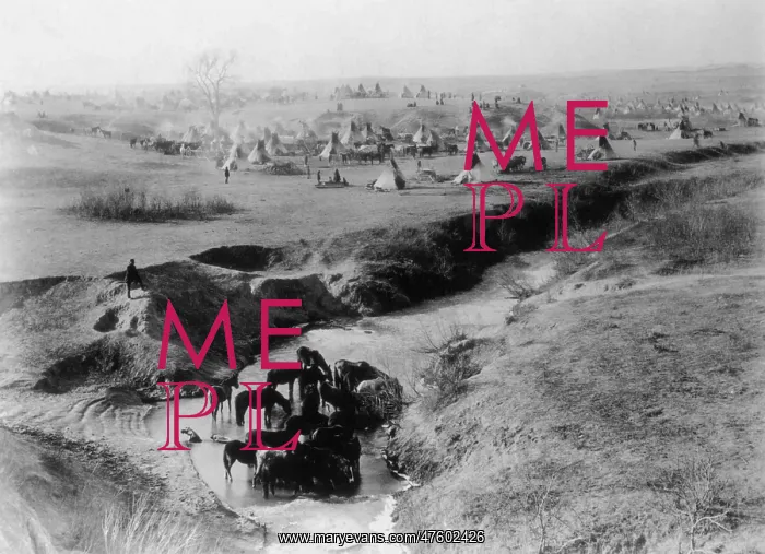: Sioux Camp at Pine Ridge, 1891 : Sioux Camp at Pine Ridge, 1891