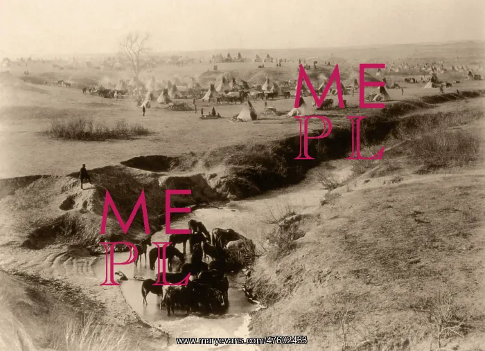 : Sioux Camp at Pine Ridge, 1891 : Sioux Camp at Pine Ridge, 1891
