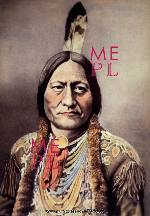  : Sioux Chief