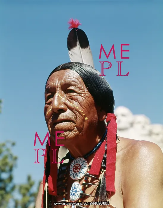  : SIOUX INDIAN IN THE BLACK HILLS MOUNT RUSHMORE