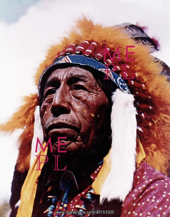 : Sioux Indian Chief : Sioux Indian Chief
