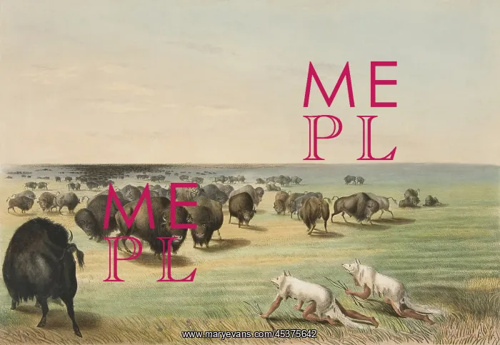 : Sioux stalk buffalo disguised as wolves, by George Catlin : Sioux stalk buffalo disguised as wolves, by George Catlin