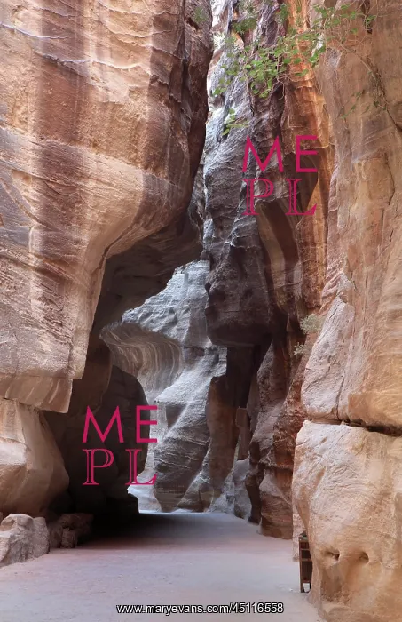 : Siq, Petra, Jordan : Siq, Petra, Jordan