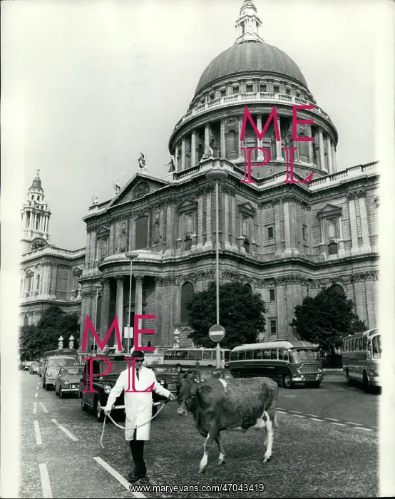 : Sir Alan Herbert cashes cheque written on a cow : Sir Alan Herbert cashes cheque written on a cow