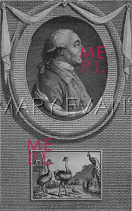 : SIR ASHTON LEVER 1729-88 : SIR ASHTON LEVER 1729-88