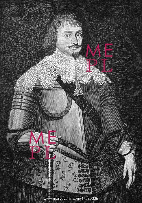 : SIR BEVIL GRENVILLE : SIR BEVIL GRENVILLE