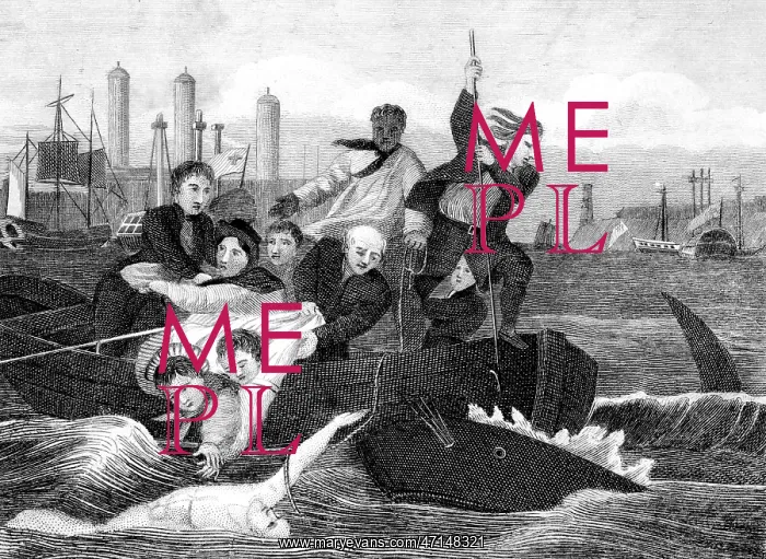 : Sir Brook Watson escaping from the jaws of a shark : Sir Brook Watson escaping from the jaws of a shark