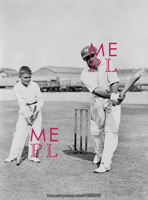 : Sir Donald Bradman : Sir Donald Bradman