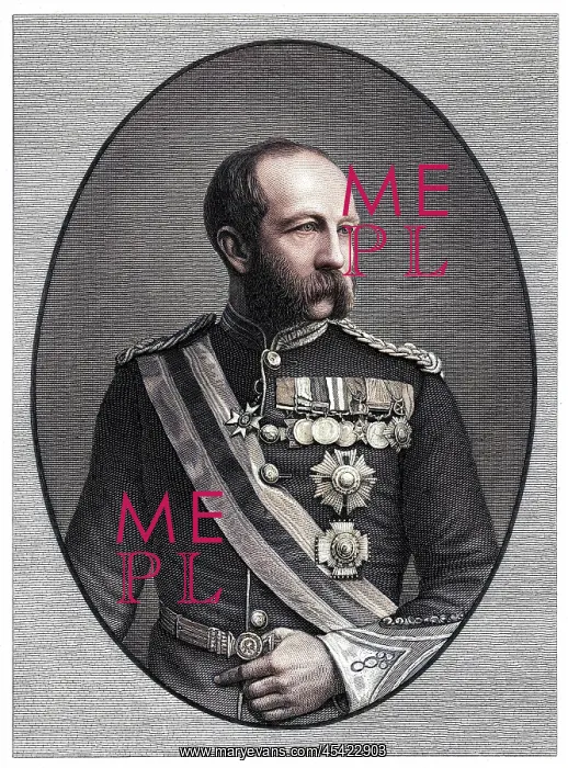  : SIR EVELYN WOOD