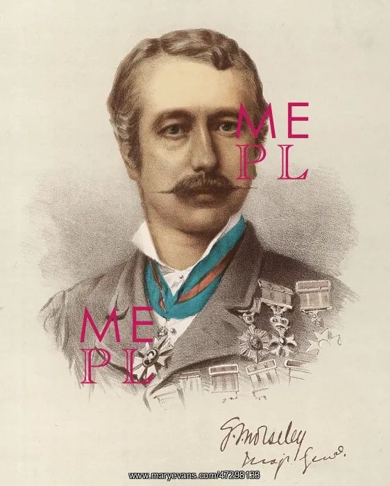 : SIR GARNET WOLSELEY : SIR GARNET WOLSELEY