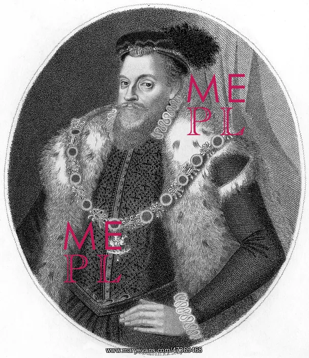: SIR HENRY SIDNEY : SIR HENRY SIDNEY