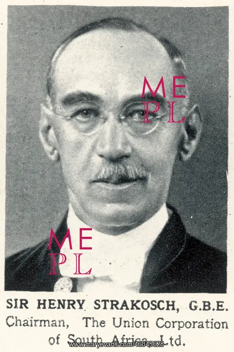 : Sir Henry Strakosch : Sir Henry Strakosch