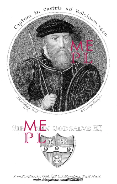 : SIR JOHN GODSALVE : SIR JOHN GODSALVE