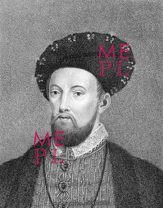 : SIR NICHOLAS CAREW - 2 : SIR NICHOLAS CAREW - 2