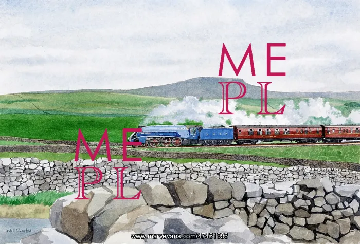  : The Sir Nigel Gresley Locomotive