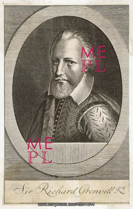 : SIR RICHARD GRENVILLE : SIR RICHARD GRENVILLE