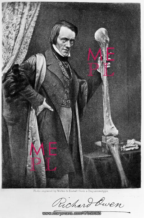 : Sir Richard Owen (1804-1892) : Sir Richard Owen (1804-1892)