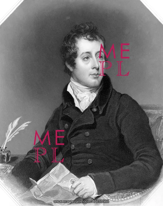 : SIR ROBERT FITZWYGRAM : SIR ROBERT FITZWYGRAM