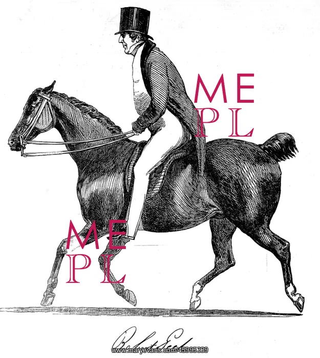 : Sir Robert Peel on horseback : Sir Robert Peel on horseback