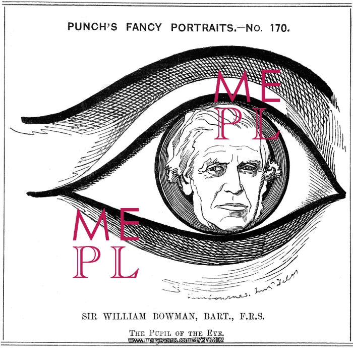  : SIR WILLIAM BOWMAN
