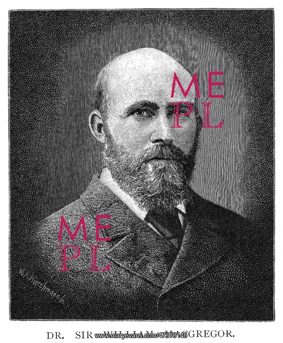 : SIR WILLIAM MACGREGOR : SIR WILLIAM MACGREGOR
