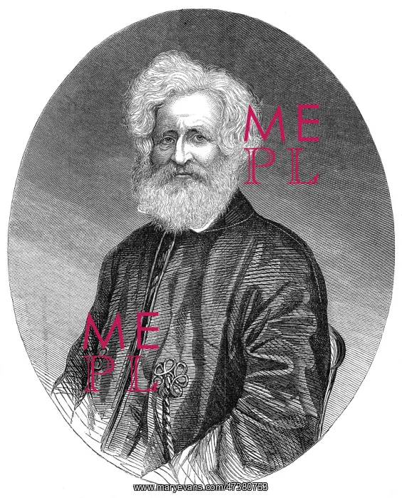 : SIR WILLIAM NAPIER : SIR WILLIAM NAPIER