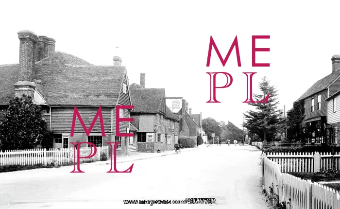  : Sissinghurst, the Village 1902