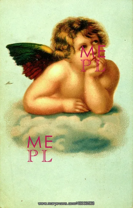  : Sistine Madonna putto, by Raphael