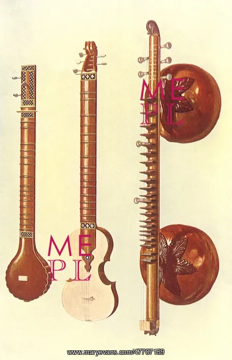  : Sitar and VEgna