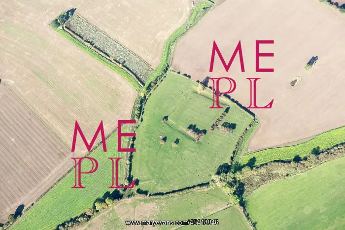  : Site of St Andrews College - moat earthwork, Acaster Marshes