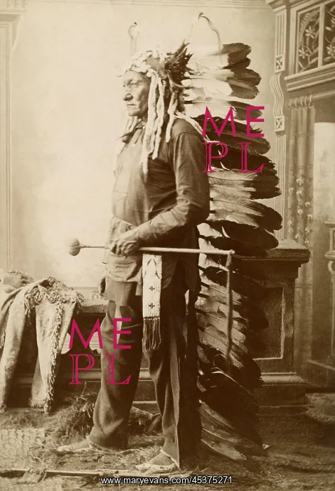 : Sitting Bull, 1888, studio photo by David : Sitting Bull, 1888, studio photo by David