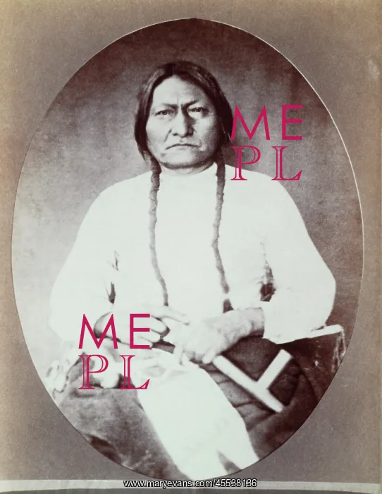 : Sitting Bull - Native American - Man - Historical : Sitting Bull - Native American - Man - Historical