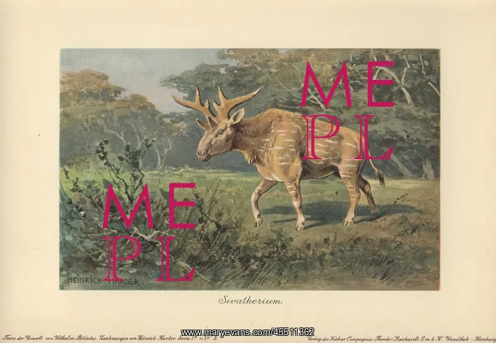 : Sivatherium, an extinct genus of giraffid that : Sivatherium, an extinct genus of giraffid that