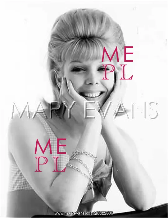  : SIXTIES MODEL