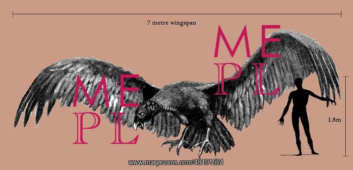 : Size of Argentavis magnificens compared to a human figure : Size of Argentavis magnificens compared to a human figure