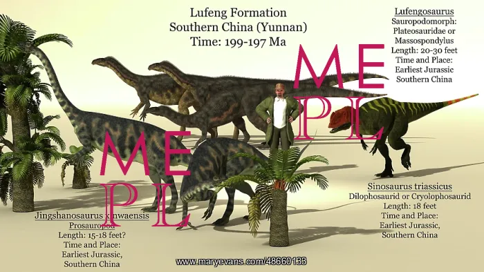 : Size reference chart of early dinosaurs from the : Size reference chart of early dinosaurs from the