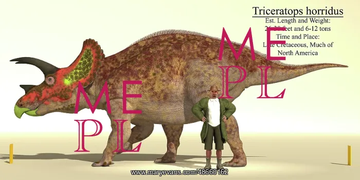 : Size reference chart of a Triceratops horridus : Size reference chart of a Triceratops horridus
