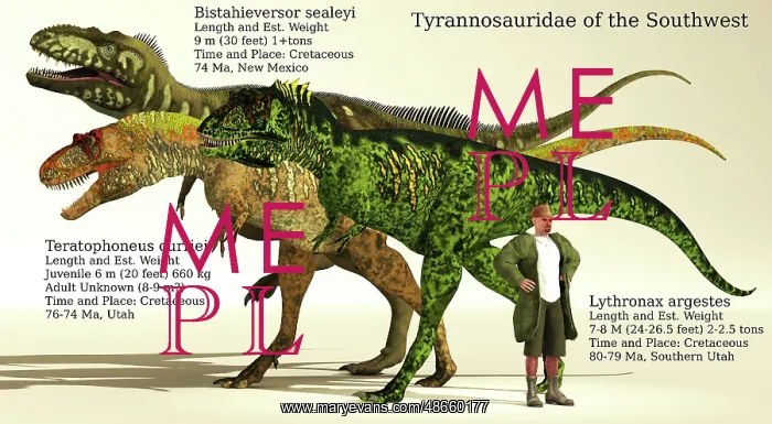 : Size reference chart of Tyrannosaurids from Southwest : Size reference chart of Tyrannosaurids from Southwest
