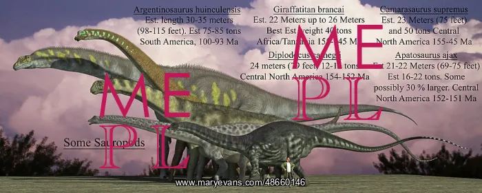 : Size reference chart of various sauropods from : Size reference chart of various sauropods from