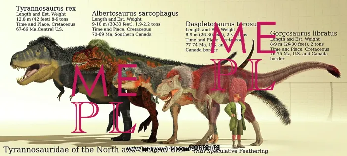 : Size reference chart of various Tyrannosaurids : Size reference chart of various Tyrannosaurids
