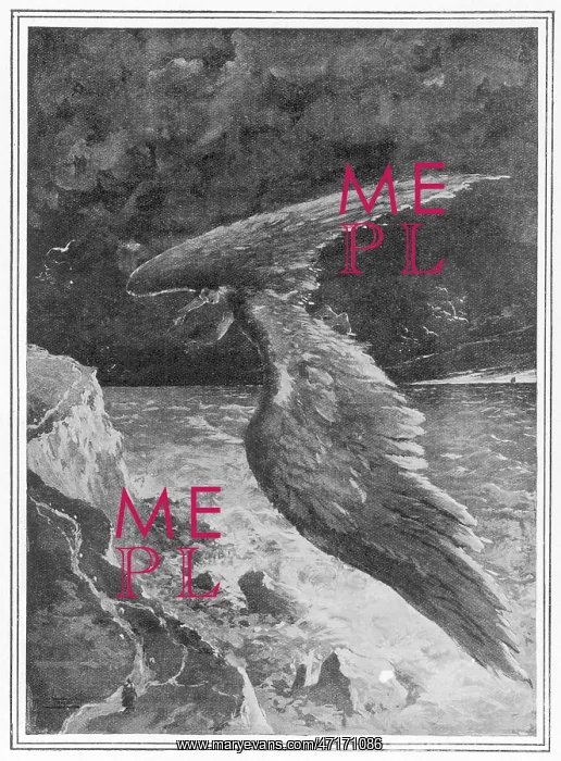 : Size of Wings Needed : Size of Wings Needed