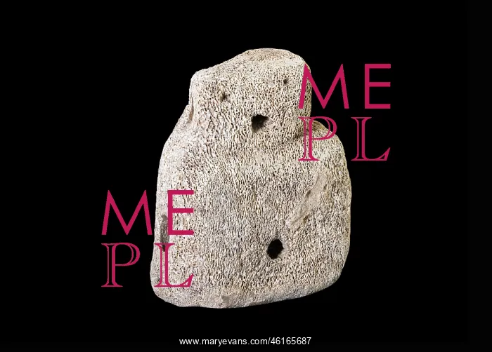 : Skara Brae Buddo, Stromness Museum, Stromness, Mainland : Skara Brae Buddo, Stromness Museum, Stromness, Mainland