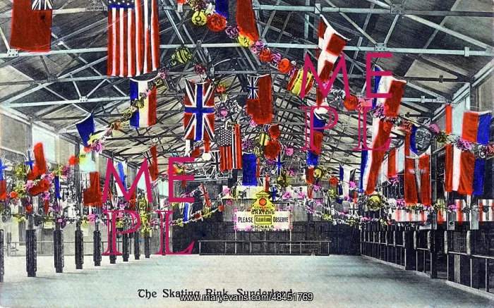 : The Skating Rink, Sunderland, County Durham : The Skating Rink, Sunderland, County Durham