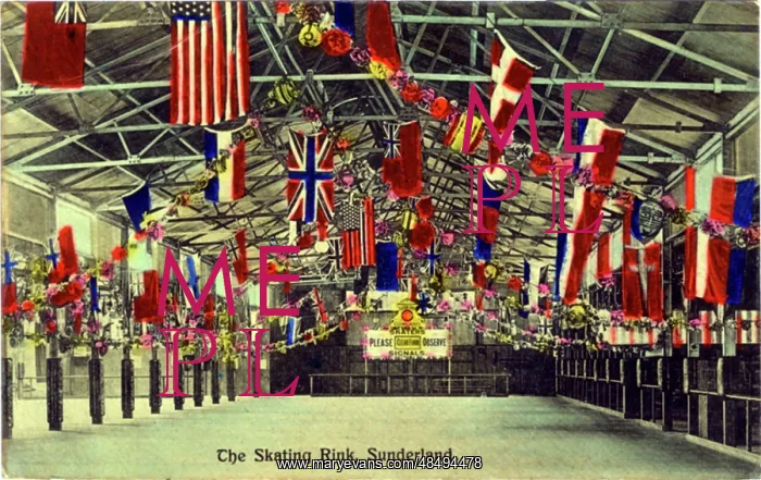: The Skating Rink, Sunderland, County Durham : The Skating Rink, Sunderland, County Durham