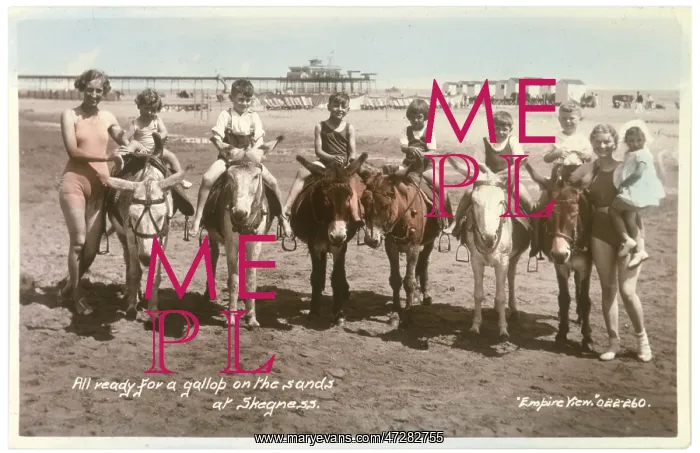 : SKEGNESS / DONKEYS 1937 : SKEGNESS / DONKEYS 1937