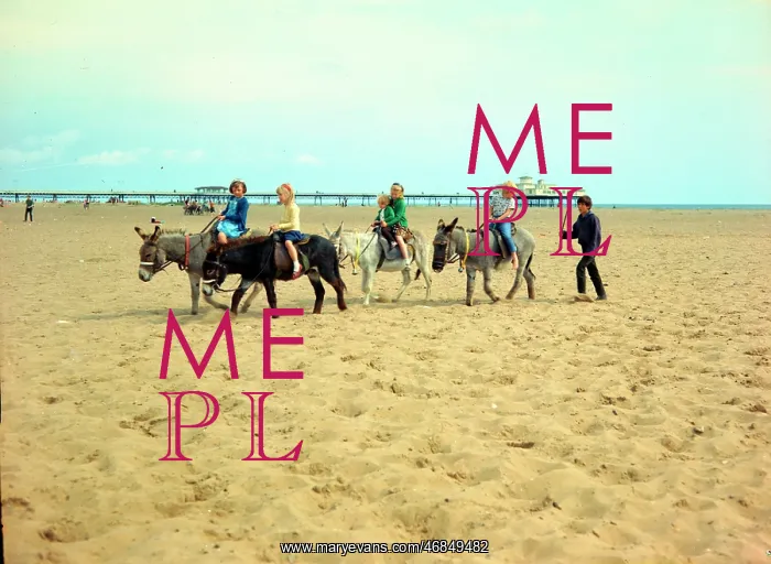 : Skegness - Donkeys on the sands : Skegness - Donkeys on the sands