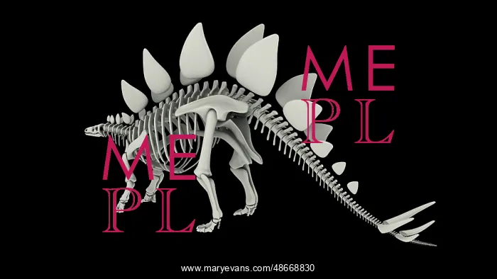 : Skeletal system of a Stegosaurus dinosaur : Skeletal system of a Stegosaurus dinosaur
