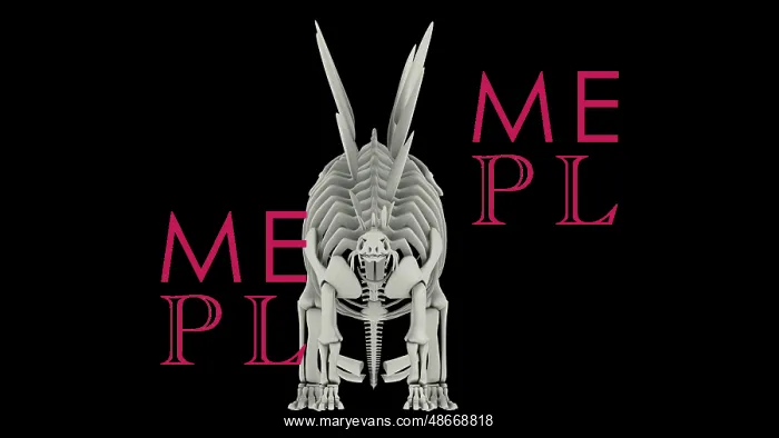 : Skeletal system of Stegosaurus, front view : Skeletal system of Stegosaurus, front view
