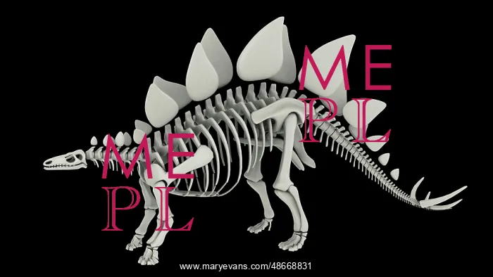 : Skeletal system of Stegosaurus, side view : Skeletal system of Stegosaurus, side view